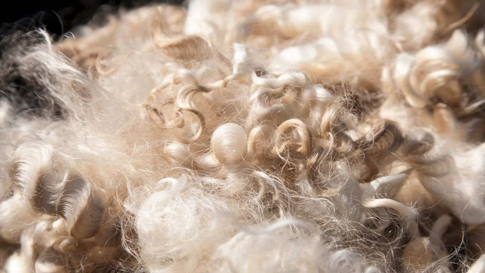 Alte Mineralwolle-Dämmung (KMF) vor dem fachgerechten Ausbau