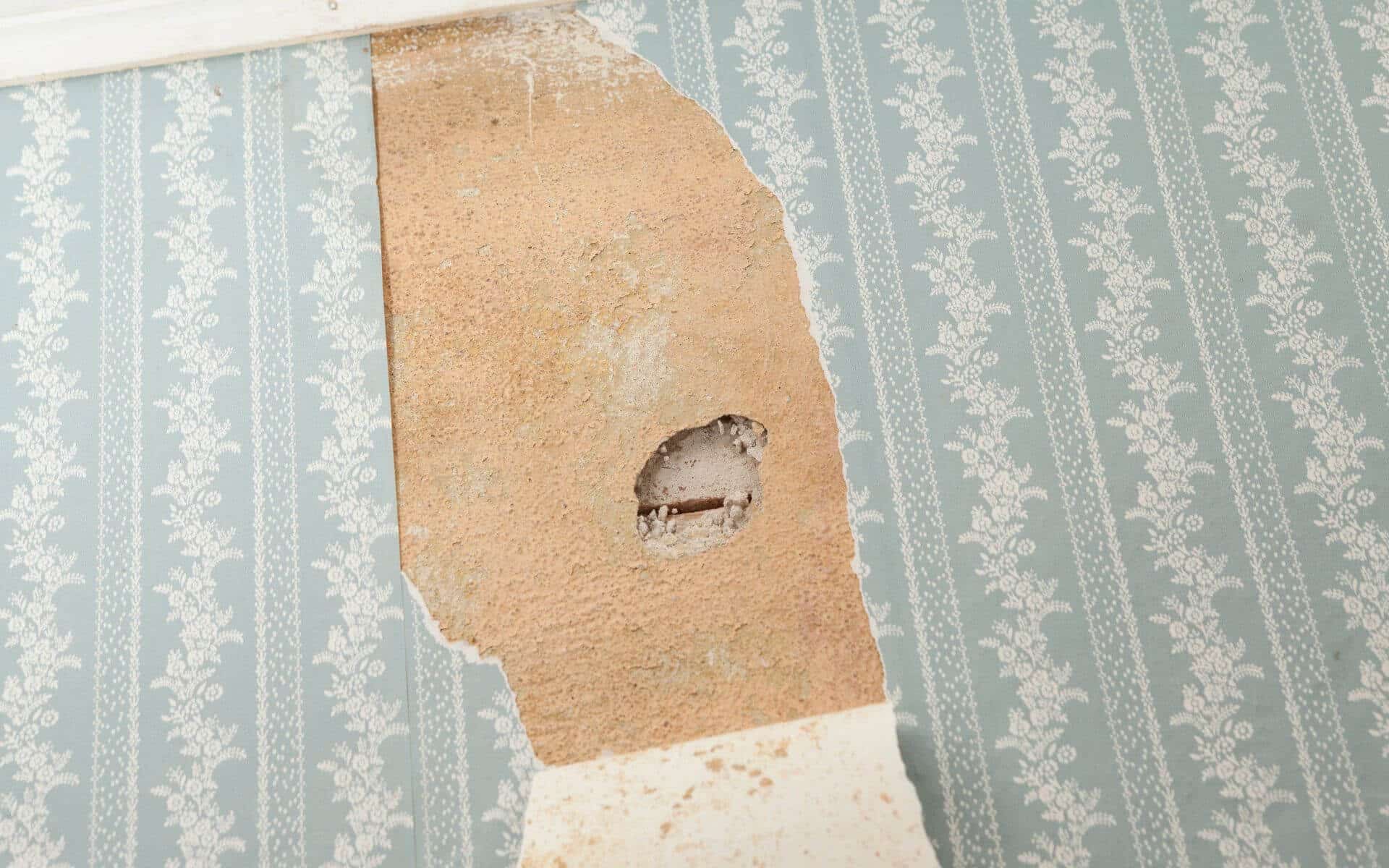 Wand mit Putzfläche, freigelegt unter entfernter Tapete