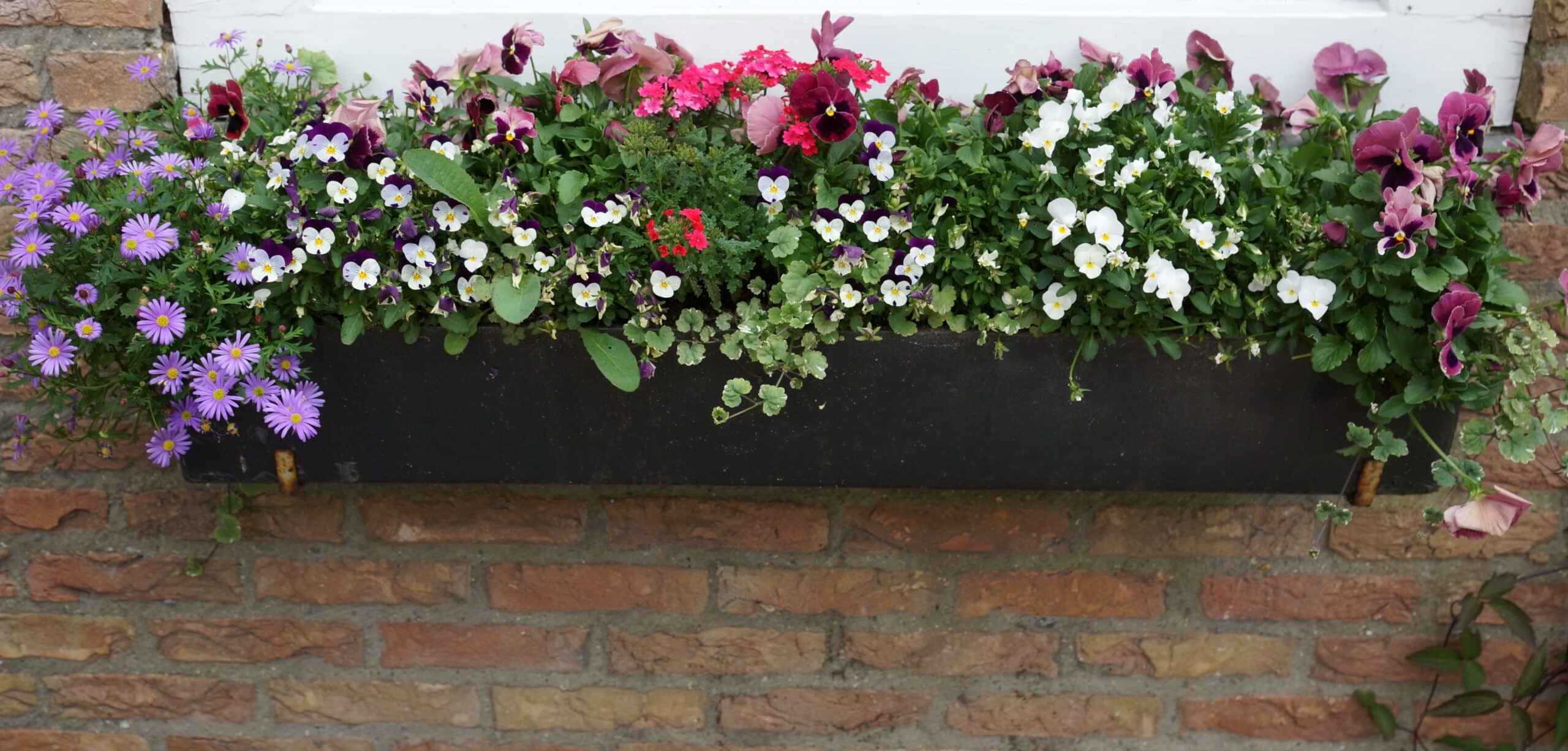 Asbest Blumenkasten