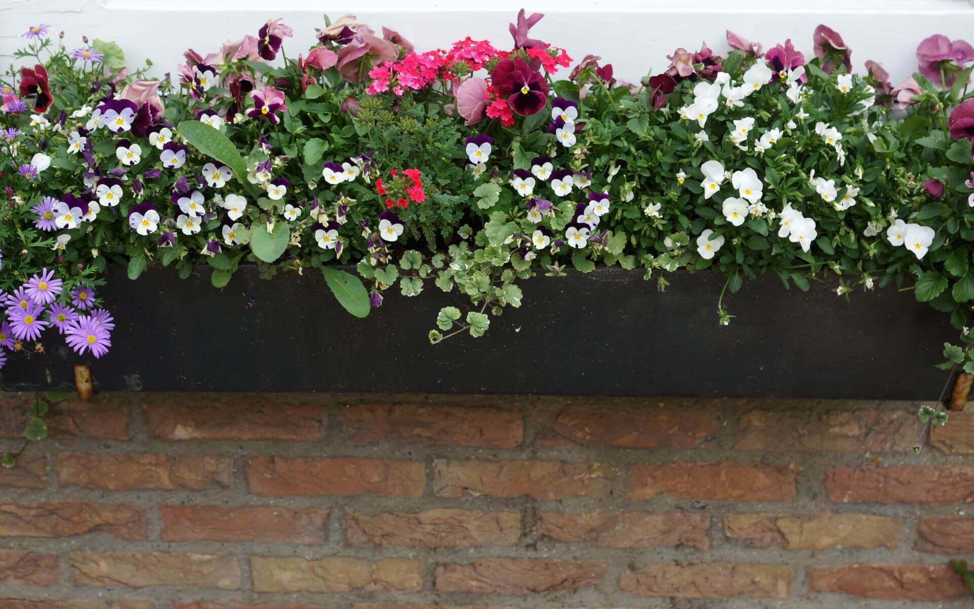 Asbest Blumenkübel: Wie Sie Blumenkübel mit Asbest sicher entsorgen