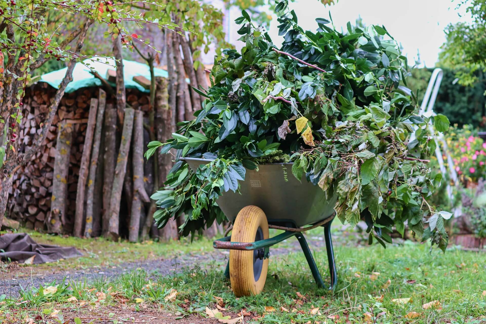 Grünschnitt entsorgen: Gartenabfälle richtig verwerten