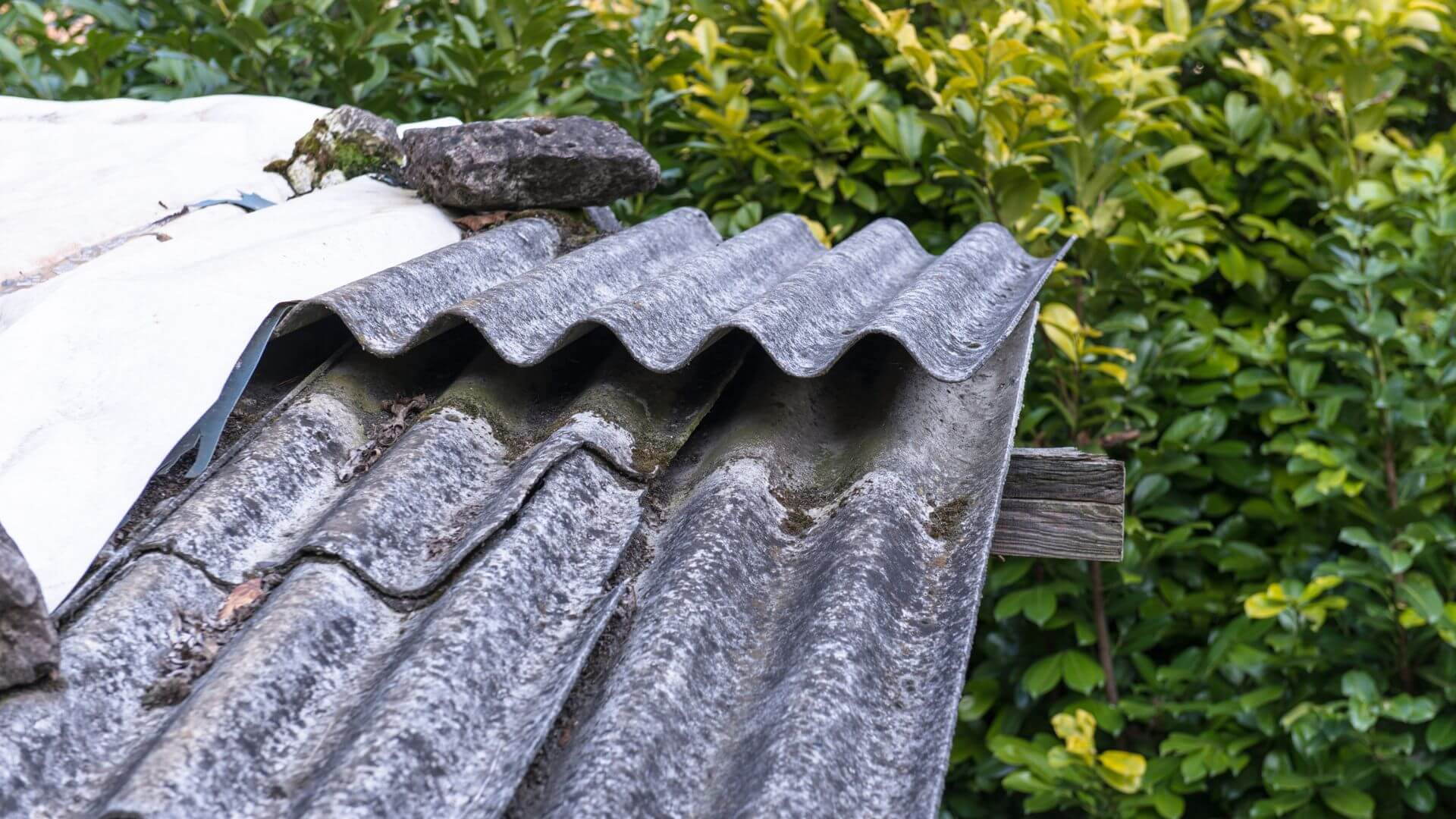 BT Verfahren Asbest: Emissionsarme Arbeitsverfahren nach TRGS 519