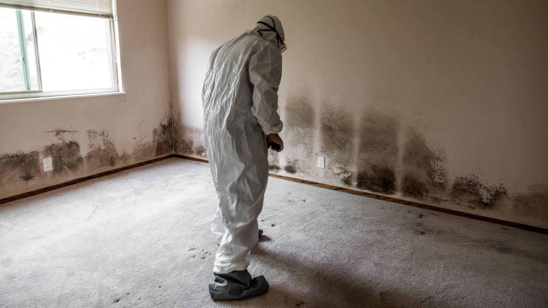 Wo kann Asbest im Haus sein: Versteckte Gefahrenquellen aufdecken